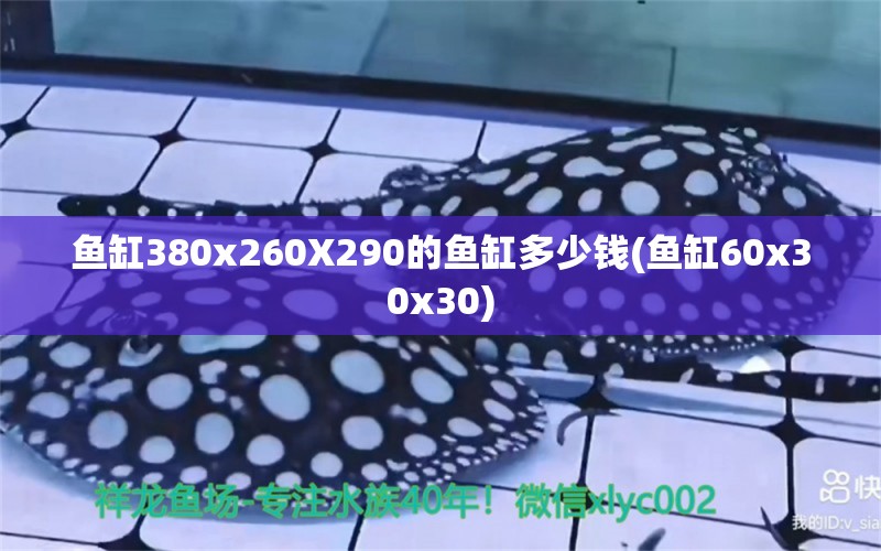 魚缸380x260X290的魚缸多少錢(魚缸60x30x30) 孵化器