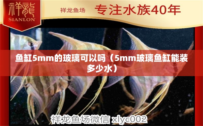 魚缸5mm的玻璃可以嗎（5mm玻璃魚缸能裝多少水）