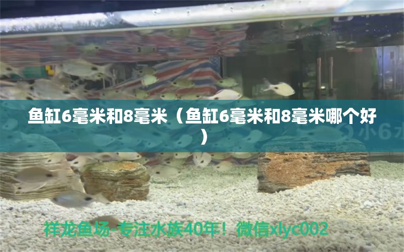 魚缸6毫米和8毫米（魚缸6毫米和8毫米哪個好）