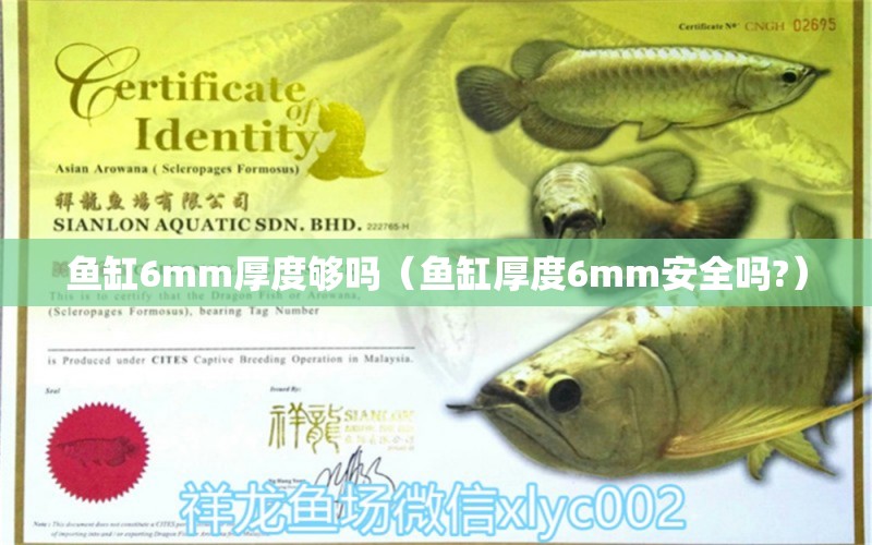 魚缸6mm厚度夠嗎（魚缸厚度6mm安全嗎?） 魚缸百科