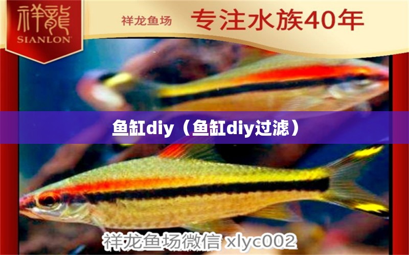 魚缸diy（魚缸diy過濾） 硝化細(xì)菌