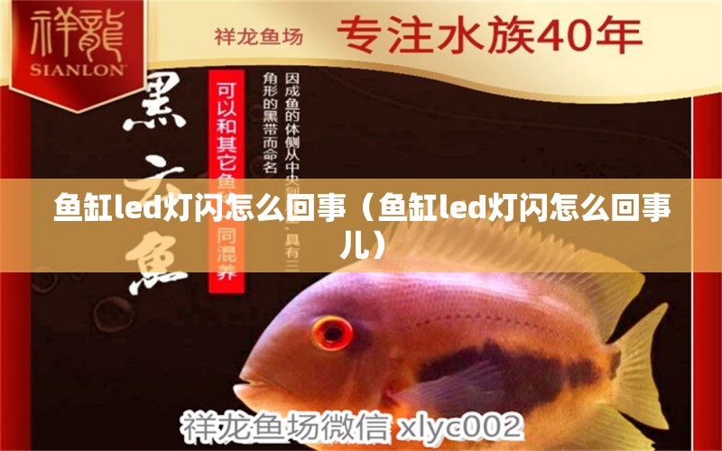 魚缸led燈閃怎么回事（魚缸led燈閃怎么回事兒）