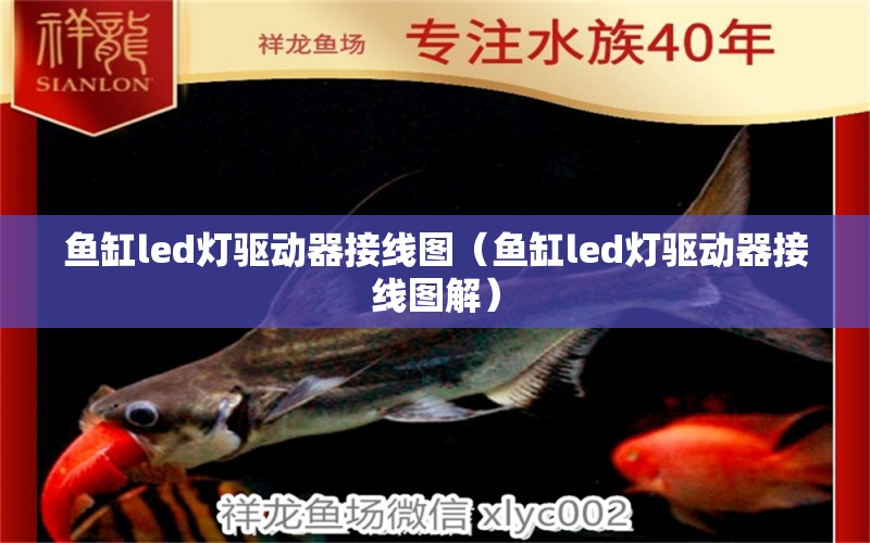 魚缸led燈驅動器接線圖（魚缸led燈驅動器接線圖解）