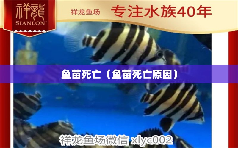 魚苗死亡（魚苗死亡原因）