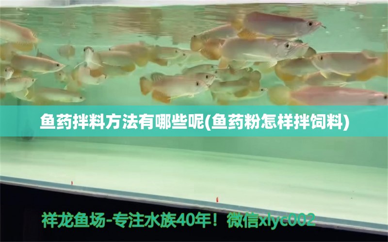 魚藥拌料方法有哪些呢(魚藥粉怎樣拌飼料) 龍鳳鯉魚