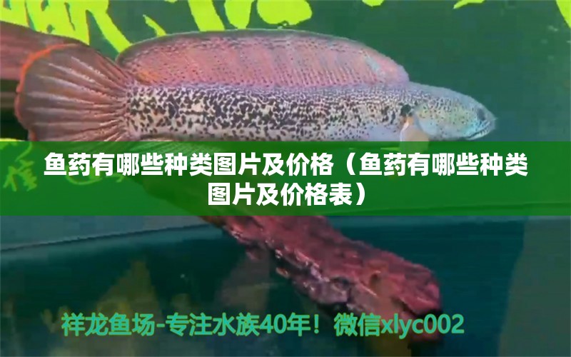 魚(yú)藥有哪些種類(lèi)圖片及價(jià)格（魚(yú)藥有哪些種類(lèi)圖片及價(jià)格表） 觀賞魚(yú)市場(chǎng)