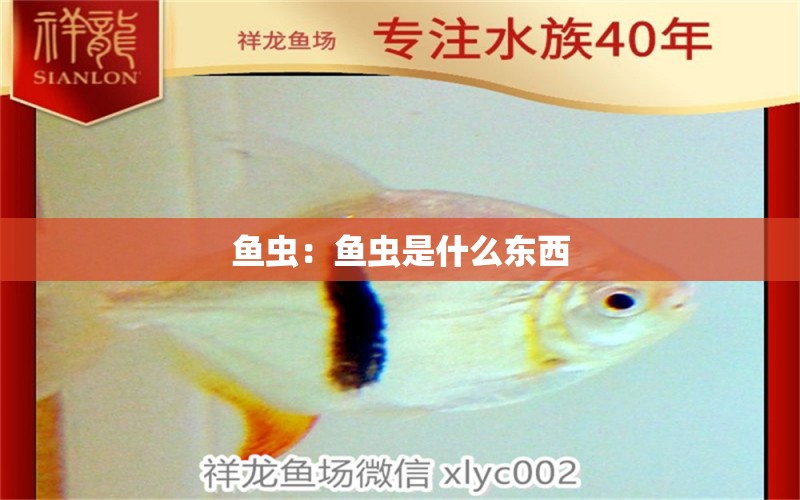 魚蟲：魚蟲是什么東西 觀賞魚