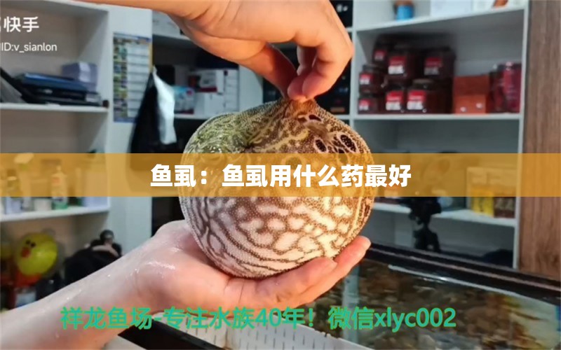 魚虱：魚虱用什么藥最好 觀賞魚