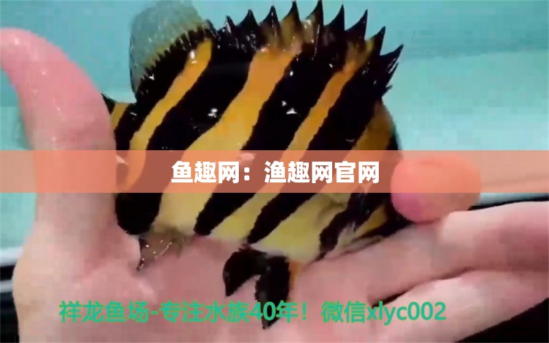 魚趣網(wǎng)：漁趣網(wǎng)官網(wǎng)