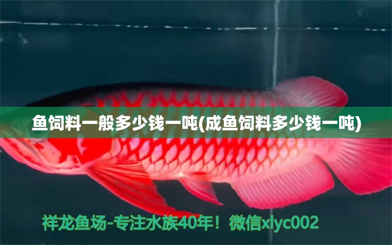 魚飼料一般多少錢一噸(成魚飼料多少錢一噸) 哥倫比亞巨暴魚苗