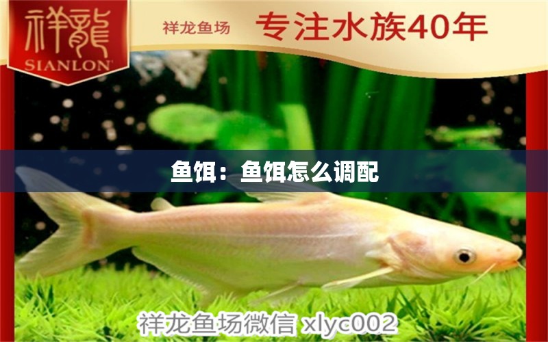 魚餌：魚餌怎么調配 觀賞魚