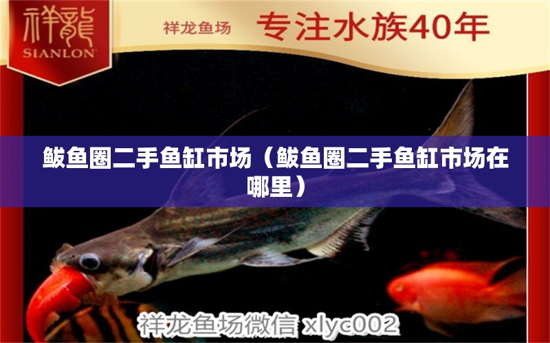 鲅魚圈二手魚缸市場(chǎng)（鲅魚圈二手魚缸市場(chǎng)在哪里） 觀賞魚市場(chǎng)（混養(yǎng)魚）