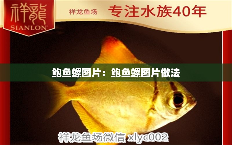 鮑魚螺圖片：鮑魚螺圖片做法