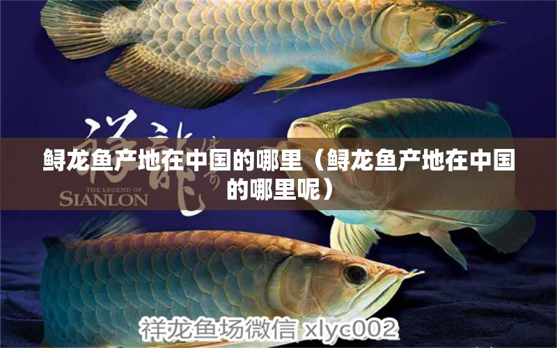 鱘龍魚產(chǎn)地在中國的哪里（鱘龍魚產(chǎn)地在中國的哪里呢）