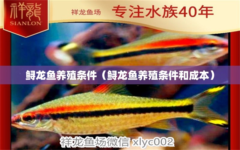 鱘龍魚養(yǎng)殖條件（鱘龍魚養(yǎng)殖條件和成本）