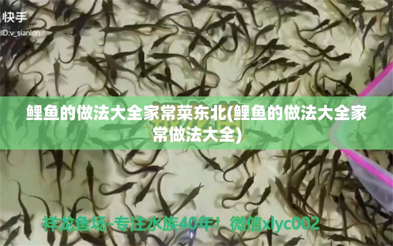 鯉魚的做法大全家常菜東北(鯉魚的做法大全家常做法大全) 過濾設(shè)備