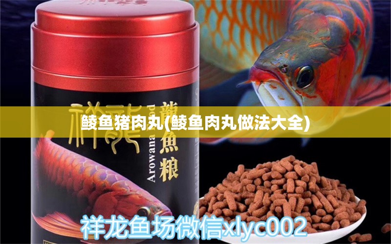 鯪魚豬肉丸(鯪魚肉丸做法大全) 白條過背金龍魚