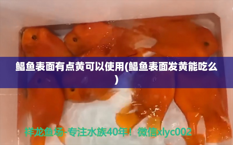 鯧魚表面有點(diǎn)黃可以使用(鯧魚表面發(fā)黃能吃么) 一眉道人魚苗