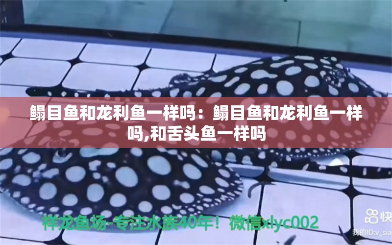 鰨目魚和龍利魚一樣嗎：鰨目魚和龍利魚一樣嗎,和舌頭魚一樣嗎 其它水族用具設(shè)備