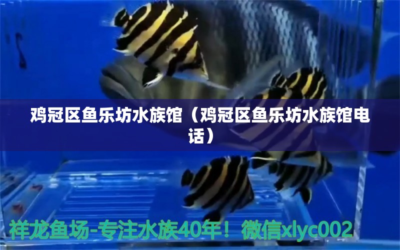 雞冠區(qū)魚樂坊水族館（雞冠區(qū)魚樂坊水族館電話） 全國水族館企業(yè)名錄