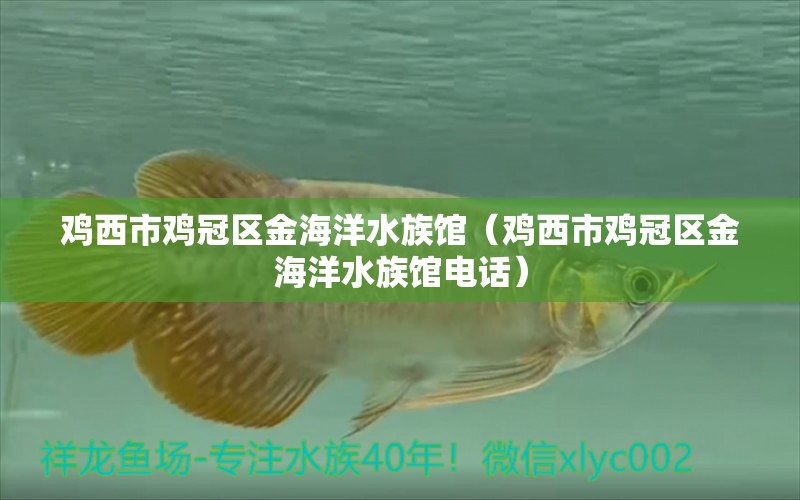 雞西市雞冠區(qū)金海洋水族館（雞西市雞冠區(qū)金海洋水族館電話）