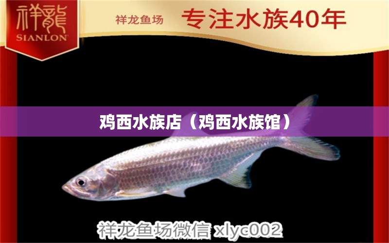 雞西水族店（雞西水族館） 觀賞魚(yú)市場(chǎng)