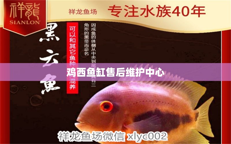 雞西魚缸售后維護中心 其他品牌魚缸