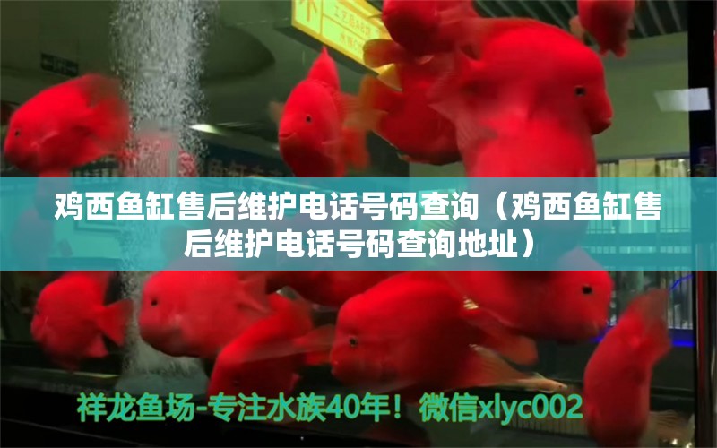 雞西魚缸售后維護(hù)電話號(hào)碼查詢（雞西魚缸售后維護(hù)電話號(hào)碼查詢地址） 其他品牌魚缸