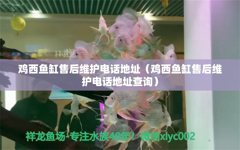 雞西魚缸售后維護電話地址（雞西魚缸售后維護電話地址查詢）