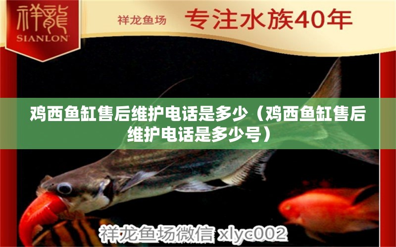 雞西魚(yú)缸售后維護(hù)電話是多少（雞西魚(yú)缸售后維護(hù)電話是多少號(hào)）