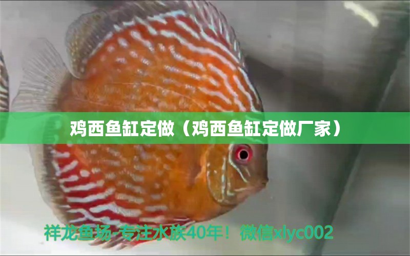 雞西魚缸定做（雞西魚缸定做廠家）