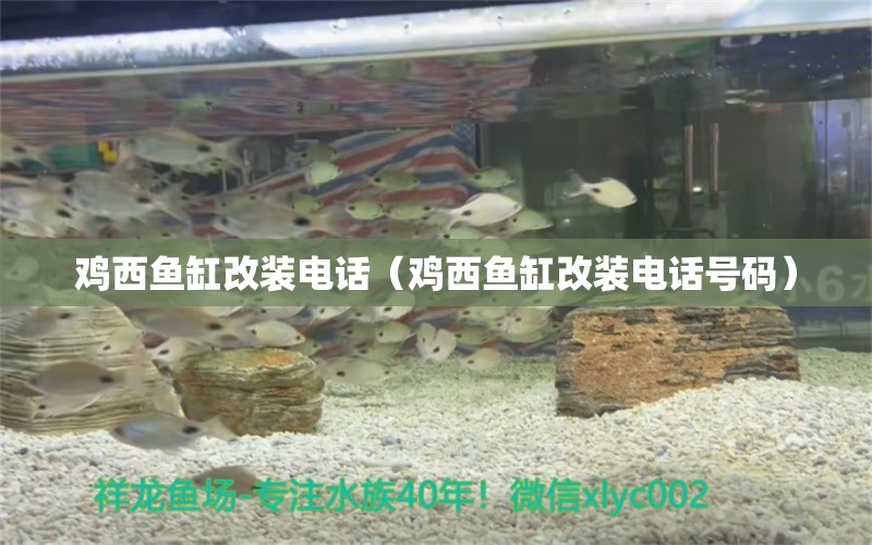 雞西魚缸改裝電話（雞西魚缸改裝電話號(hào)碼）