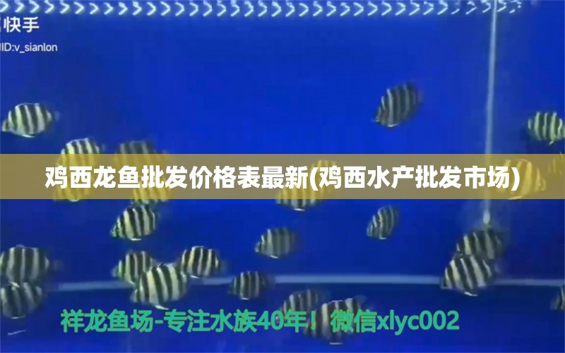 雞西龍魚(yú)批發(fā)價(jià)格表最新(雞西水產(chǎn)批發(fā)市場(chǎng)) 龍魚(yú)批發(fā)