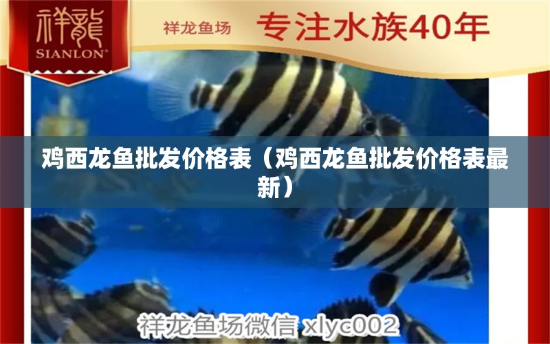 雞西龍魚批發(fā)價(jià)格表（雞西龍魚批發(fā)價(jià)格表最新）