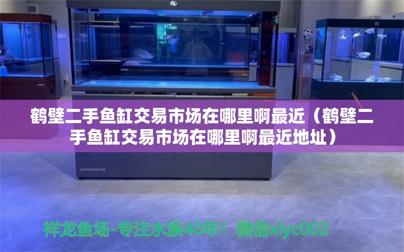 鶴壁二手魚缸交易市場在哪里啊最近（鶴壁二手魚缸交易市場在哪里啊最近地址）