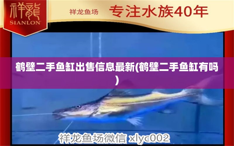 鶴壁二手魚缸出售信息最新(鶴壁二手魚缸有嗎) 祥龍水族醫(yī)院