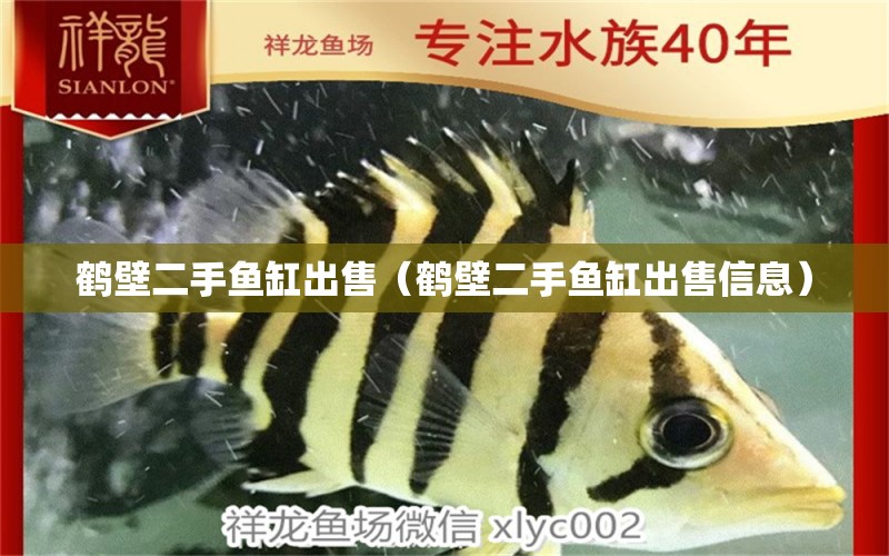 鶴壁二手魚缸出售（鶴壁二手魚缸出售信息）