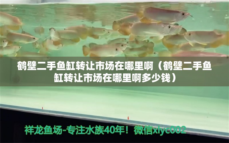 鶴壁二手魚缸轉(zhuǎn)讓市場在哪里?。Q壁二手魚缸轉(zhuǎn)讓市場在哪里啊多少錢）