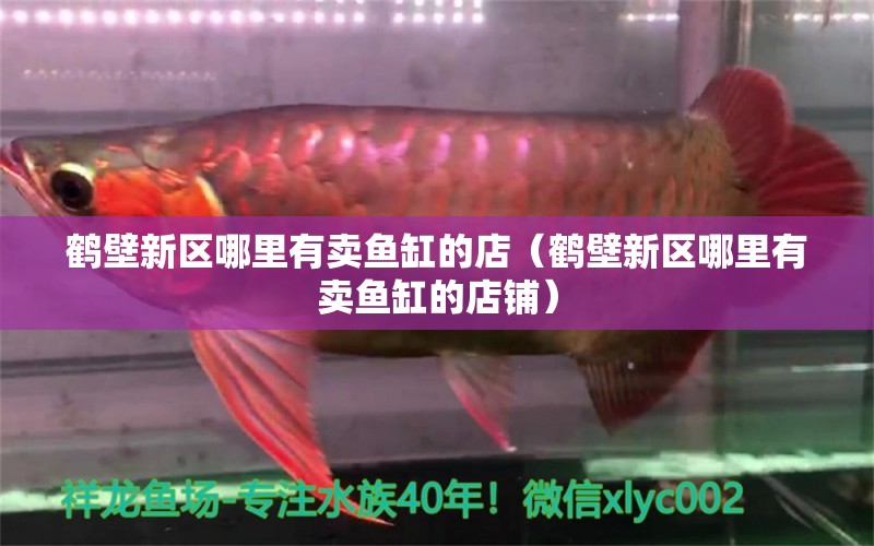 鶴壁新區(qū)哪里有賣魚缸的店（鶴壁新區(qū)哪里有賣魚缸的店鋪）