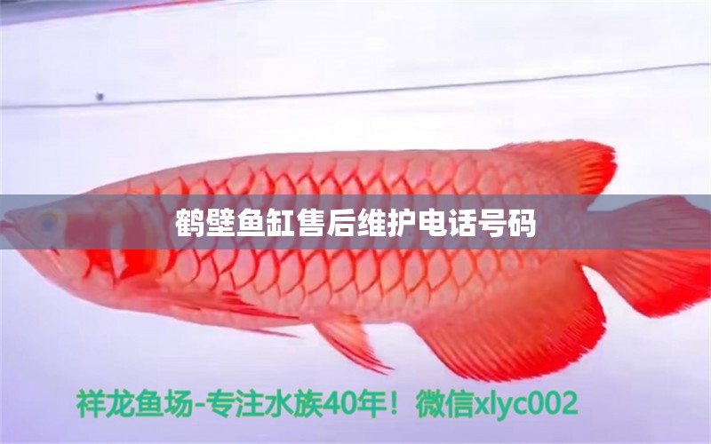 鶴壁魚缸售后維護(hù)電話號(hào)碼