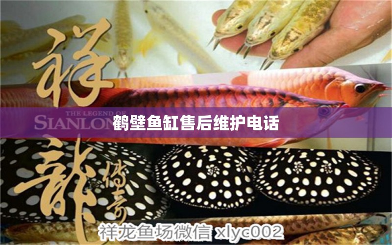 鶴壁魚缸售后維護(hù)電話 其他品牌魚缸