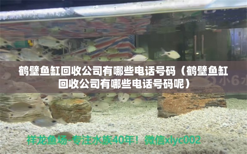 鶴壁魚缸回收公司有哪些電話號碼（鶴壁魚缸回收公司有哪些電話號碼呢）