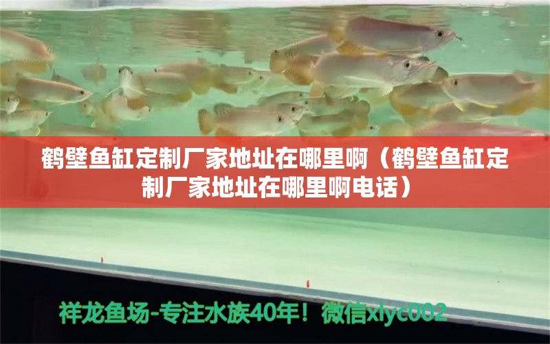 鶴壁魚(yú)缸定制廠家地址在哪里?。Q壁魚(yú)缸定制廠家地址在哪里啊電話） 觀賞魚(yú)市場(chǎng)（混養(yǎng)魚(yú)）