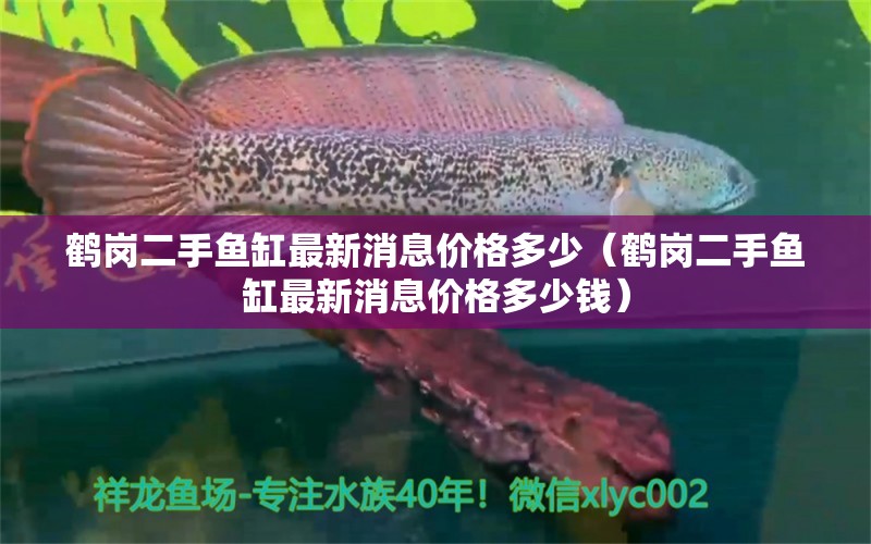 鶴崗二手魚缸最新消息價格多少（鶴崗二手魚缸最新消息價格多少錢）