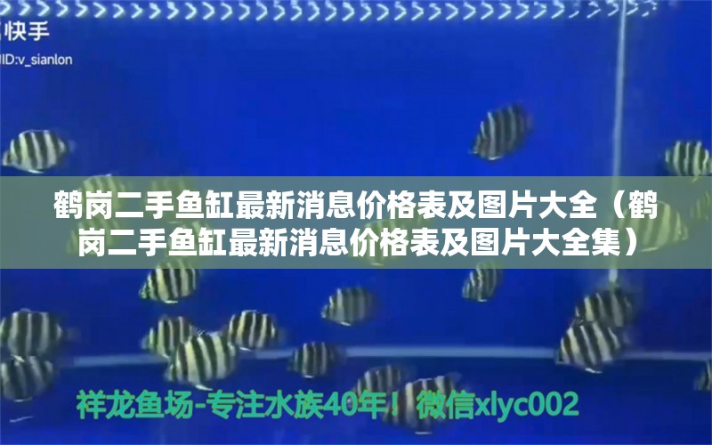 鶴崗二手魚缸最新消息價格表及圖片大全（鶴崗二手魚缸最新消息價格表及圖片大全集）