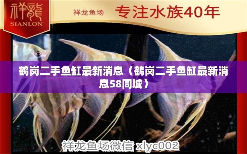 鶴崗二手魚缸最新消息（鶴崗二手魚缸最新消息58同城） 其他品牌魚缸