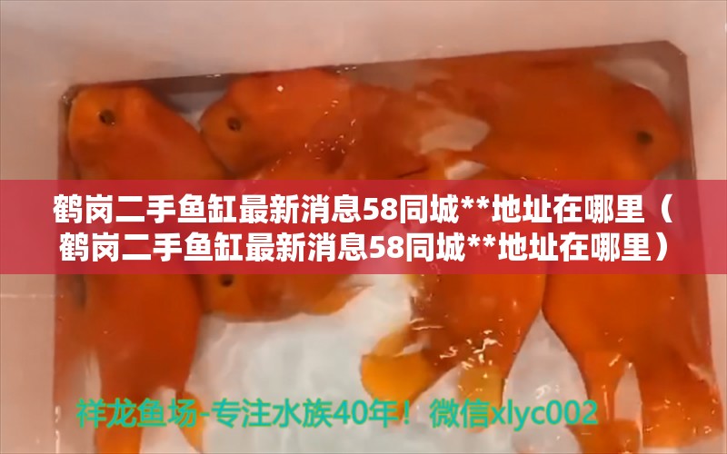 鶴崗二手魚缸最新消息58同城**地址在哪里（鶴崗二手魚缸最新消息58同城**地址在哪里）