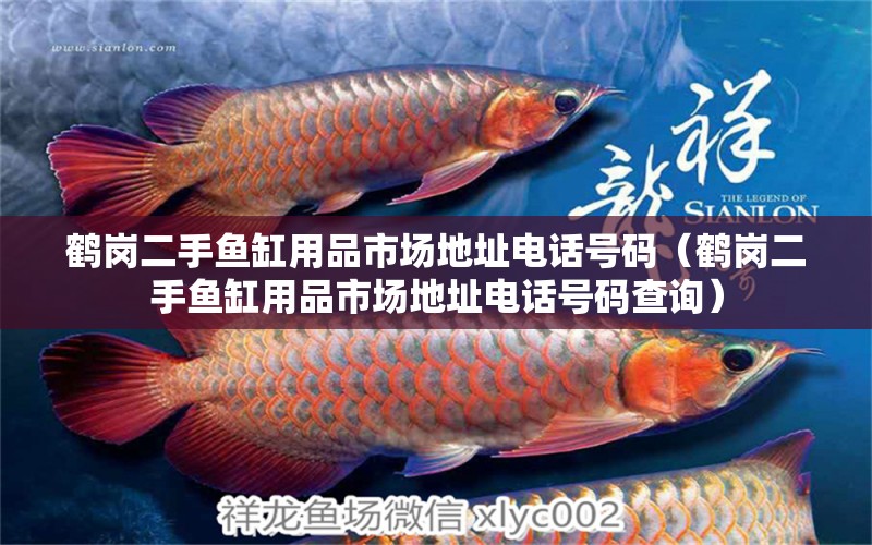 鶴崗二手魚缸用品市場地址電話號碼（鶴崗二手魚缸用品市場地址電話號碼查詢） 泰龐海鰱魚