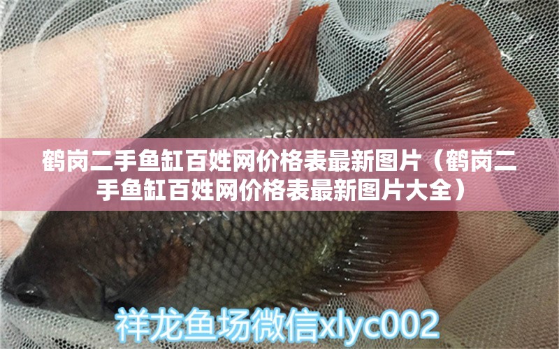 鶴崗二手魚缸百姓網(wǎng)價格表最新圖片（鶴崗二手魚缸百姓網(wǎng)價格表最新圖片大全）