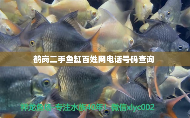 鶴崗二手魚缸百姓網(wǎng)電話號碼查詢  祥龍水族濾材/器材